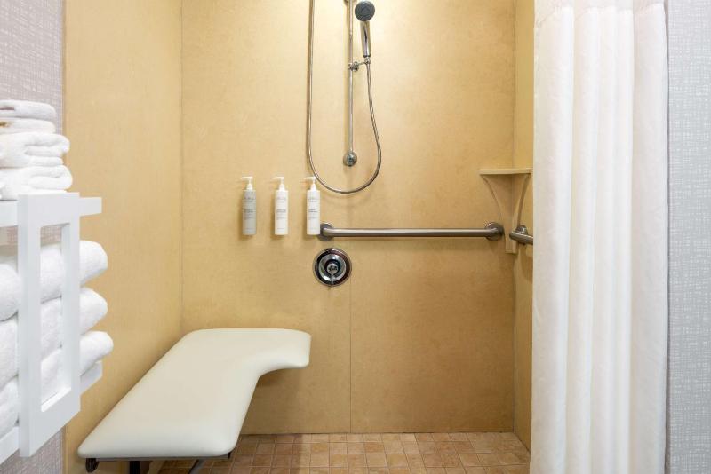 King Studio with Roll-In Shower - Mobility and Hearing Access/Non-Smoking image 3