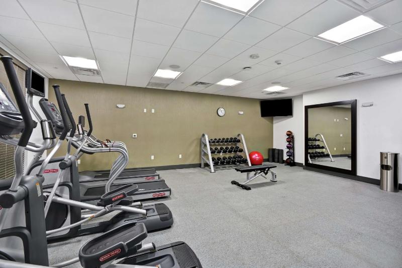 Hilton Garden Inn Houston Hobby Airport - image 46