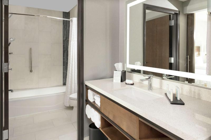 King Studio Suite image 2