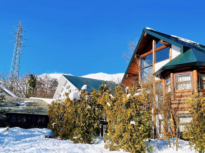Hakuba Log Hotel Meteor - image 3