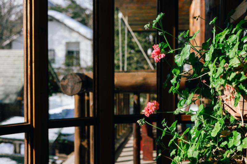 Hakuba Log Hotel Meteor - image 13