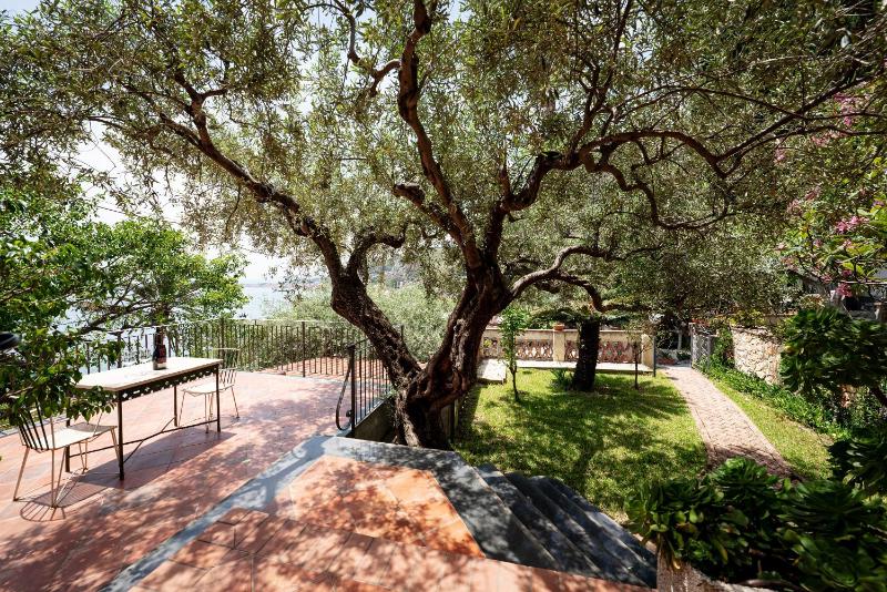 Villa degli Ulivi - image 9