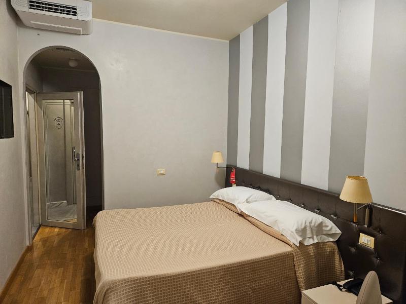 Standard  Double Room - Single Use image 4
