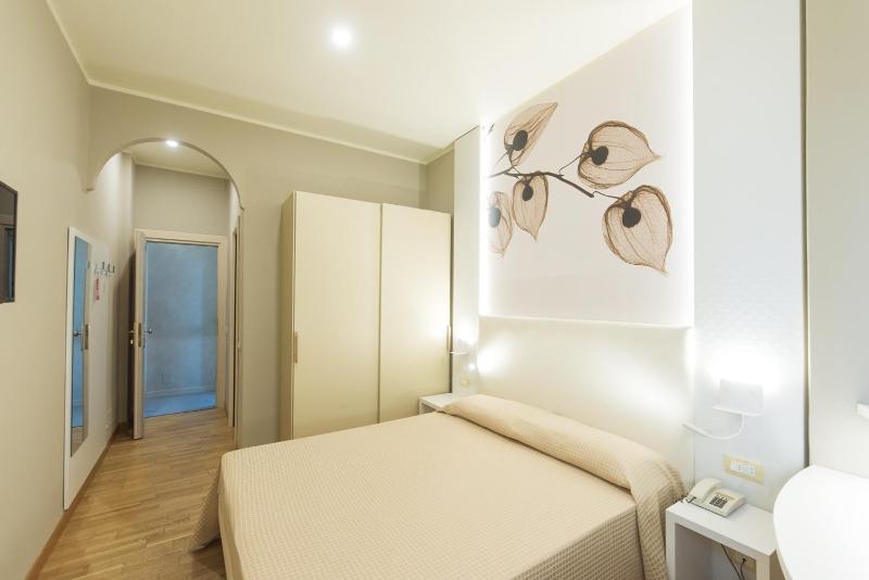 Standard  Double Room - Single Use image 3