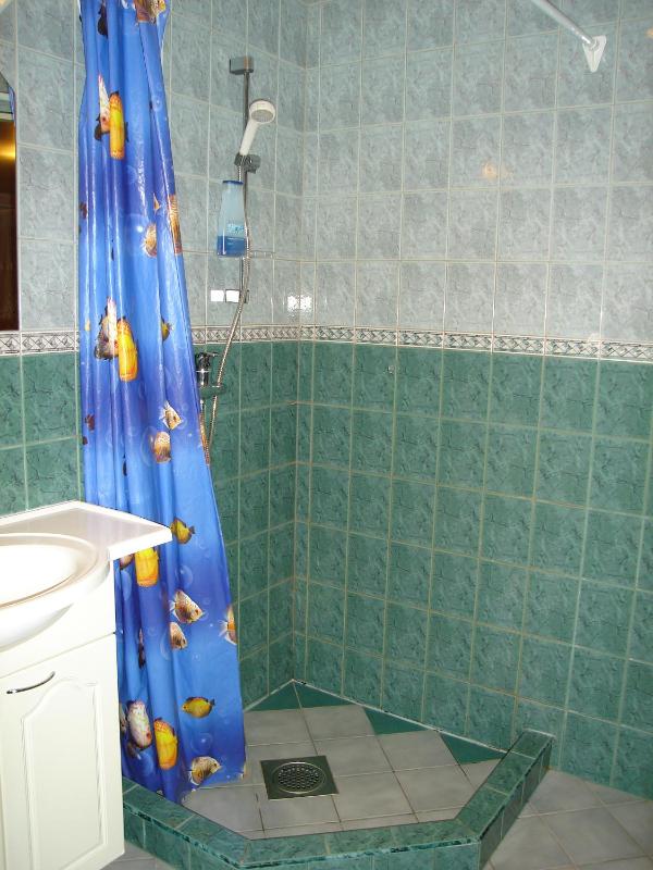 Apartment (3 Adults) image 2