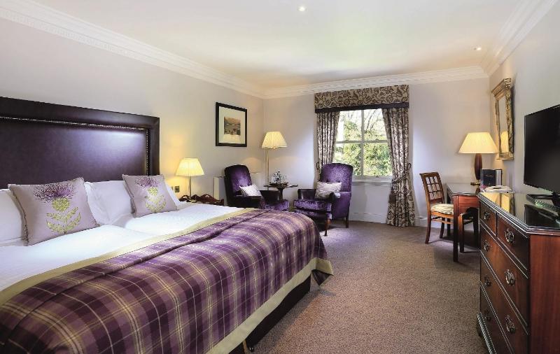 Deluxe King Room image 3