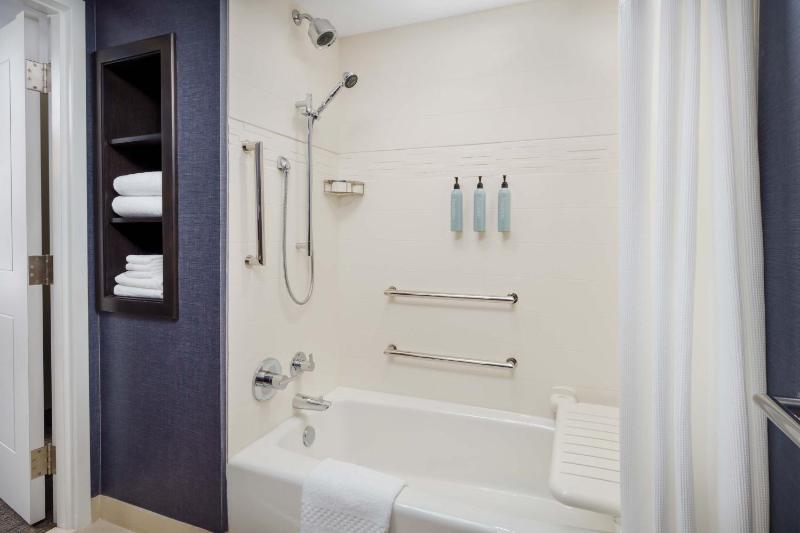 One-Bedroom King Suite with Sofa Bed  image 2