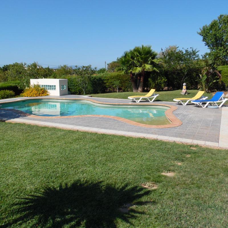 Horta Nova - image 12