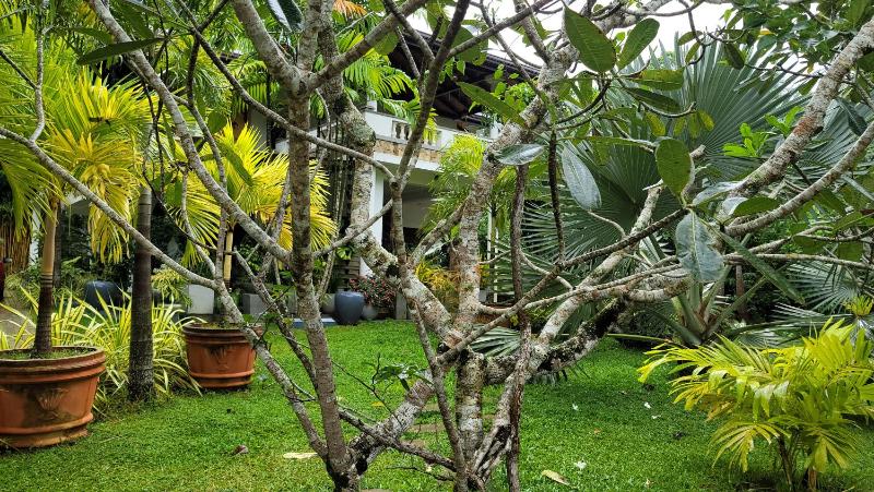 Nature Villa Resort - image 16