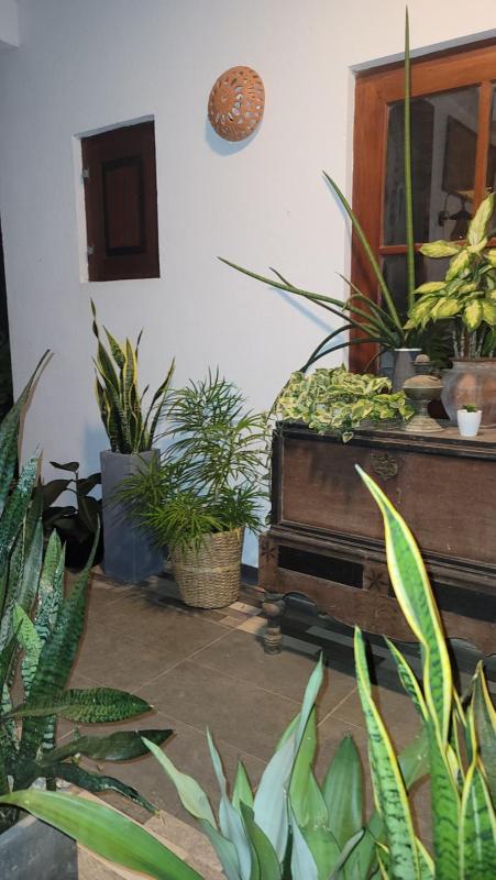 Nature Villa Resort - image 39
