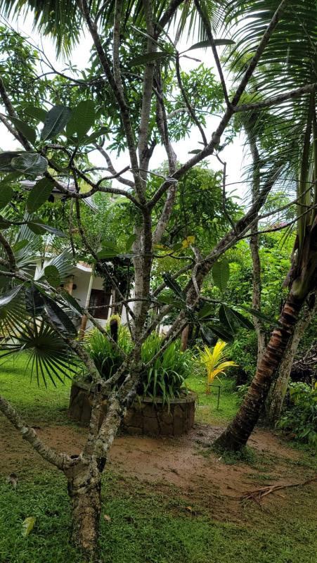 Nature Villa Resort - image 38