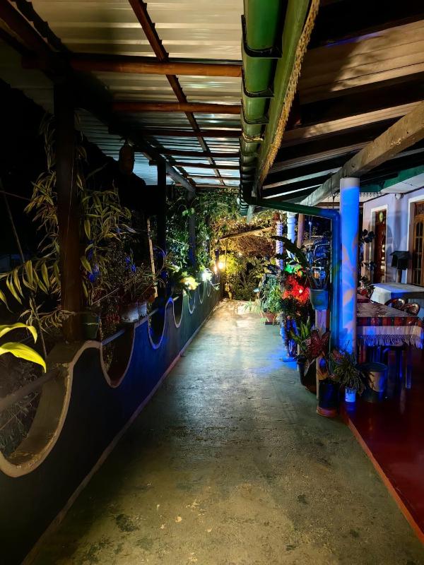 Cozy Homestay Waterfall Road Ella - image 25