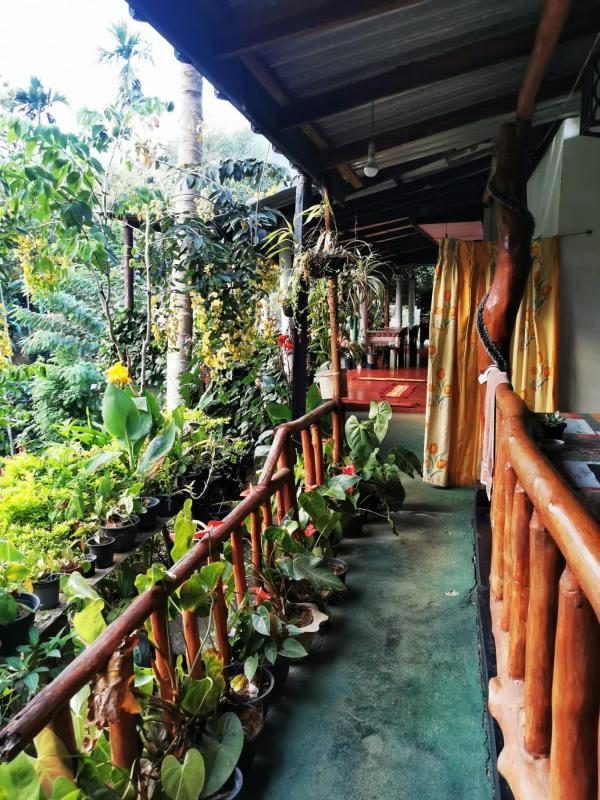 Cozy Homestay Waterfall Road Ella - image 5