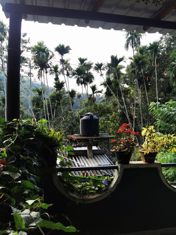 Cozy Homestay Waterfall Road Ella - image 19