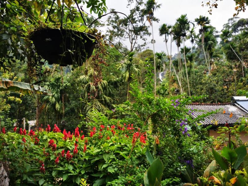 Cozy Homestay Waterfall Road Ella - image 22