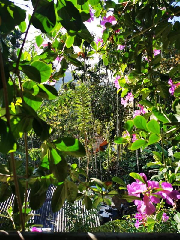 Cozy Homestay Waterfall Road Ella - image 31