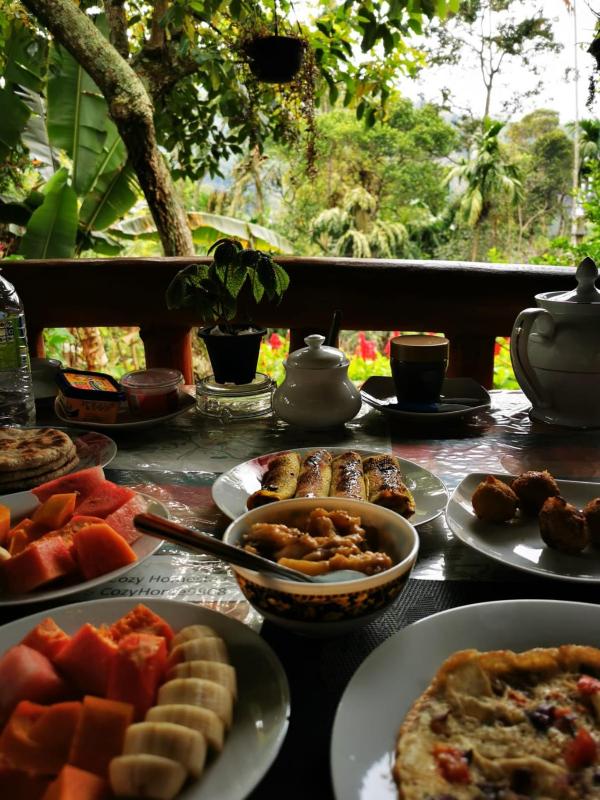 Cozy Homestay Waterfall Road Ella - image 40