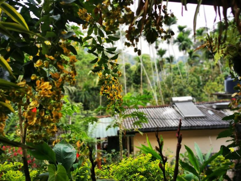 Cozy Homestay Waterfall Road Ella - image 7