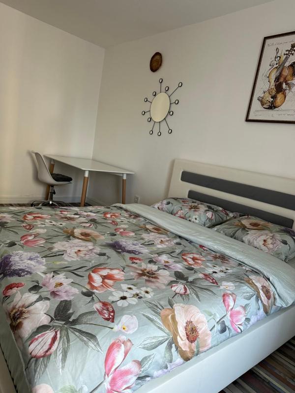 One-Bedroom Apartment image 2