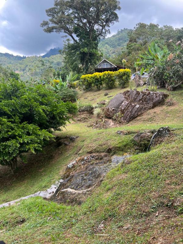 Rinconcito de Paz Cedral Pérez Zeledón - image 15