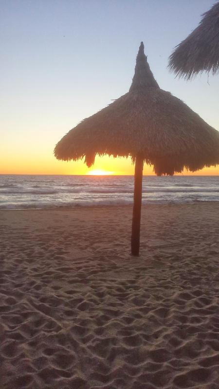 Maz4you Beachfront Condo - image 24