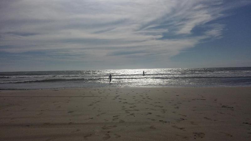 Maz4you Beachfront Condo - image 10