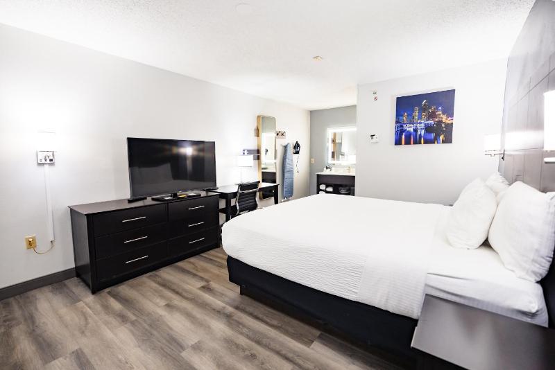 La Quinta Inn & Suites by Wyndham Tampa-Near Busch Gardens - image 3