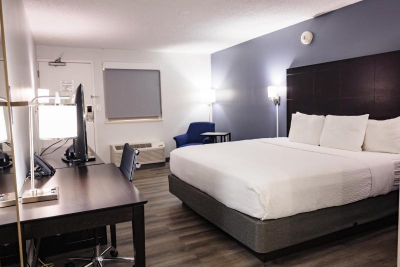 La Quinta Inn & Suites by Wyndham Tampa-Near Busch Gardens - image 14