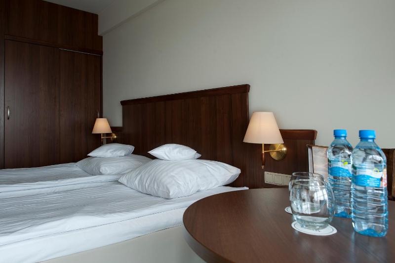 Standard Twin Room image 3