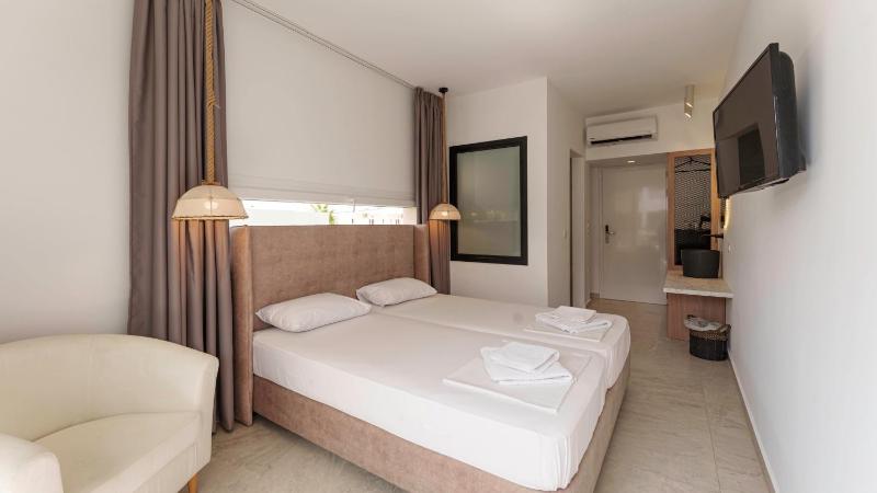 Deluxe Twin Room image 1