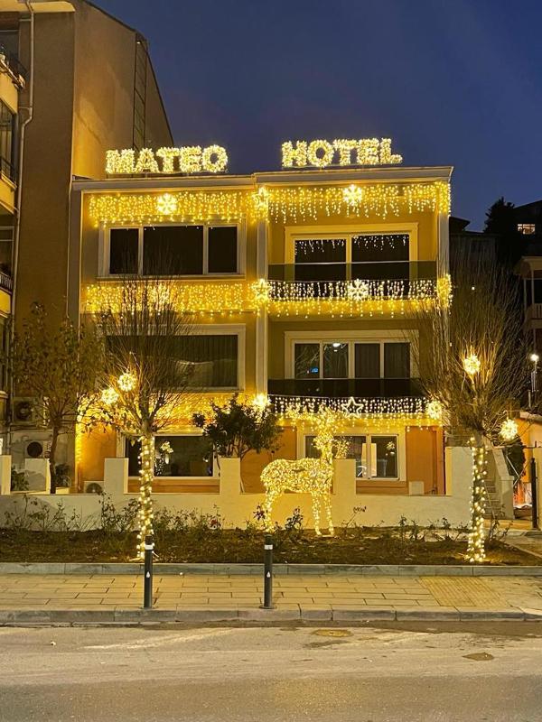 Mateo - image 10