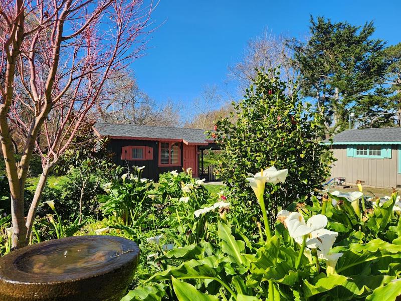 Studio Cottage image 3