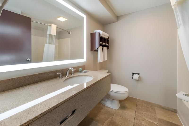 Deluxe King Suite with Jetted Tub - Non-Smoking image 4