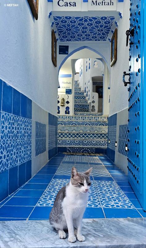 Casa Meftah Blue - image 9