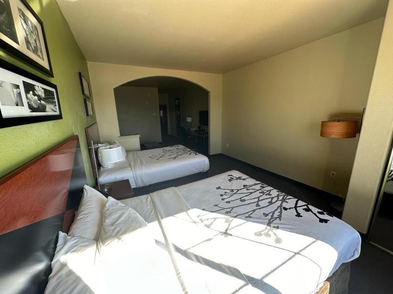 Queen Suite with Two Queen Beds and Sofa Bed image 4