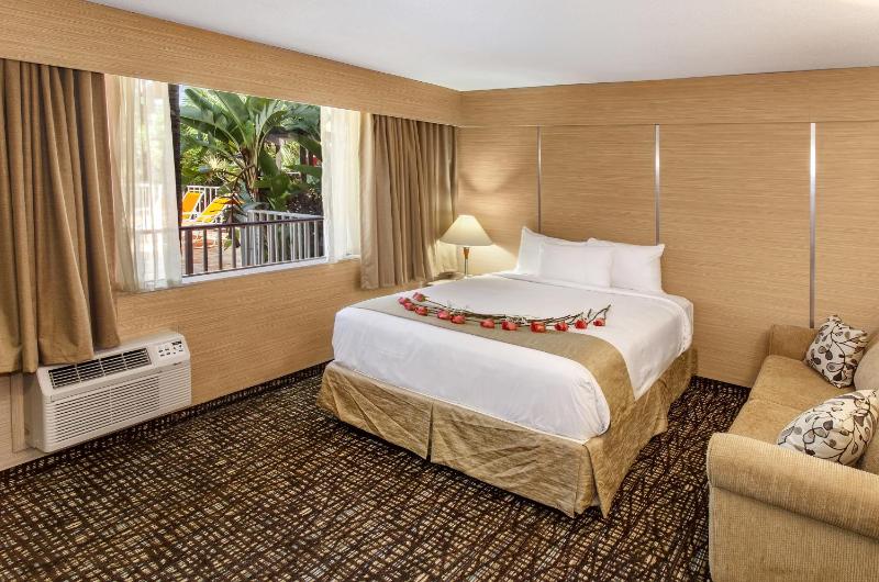 One-Bedroom Suite (4 Adults) image 4