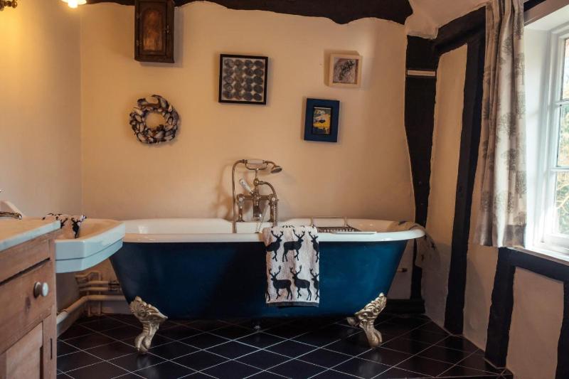 Toad Hall - image 5