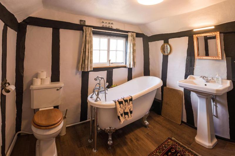 Toad Hall - image 19