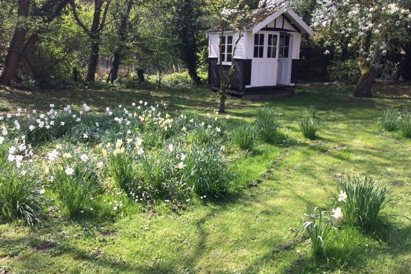 Toad Hall - image 20
