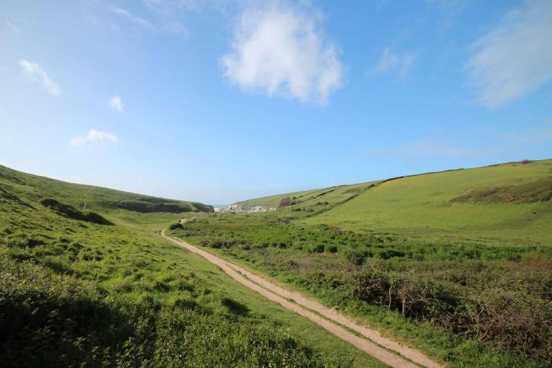 Talland Croft - image 35