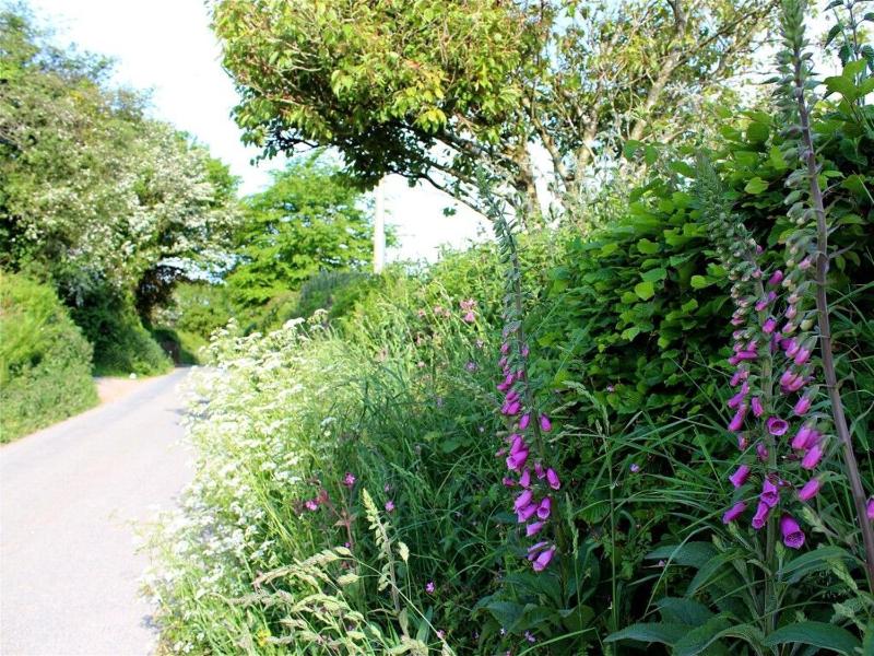 Talland Croft - image 30