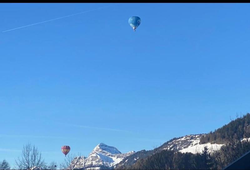 Très bel appartement avec Spa à Megeve Stallion D 25 - image 2