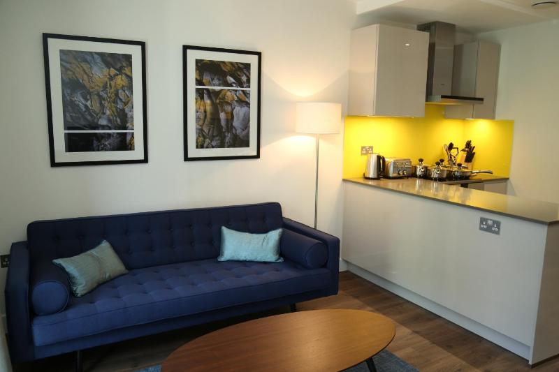 One-Bedroom Apartment image 4