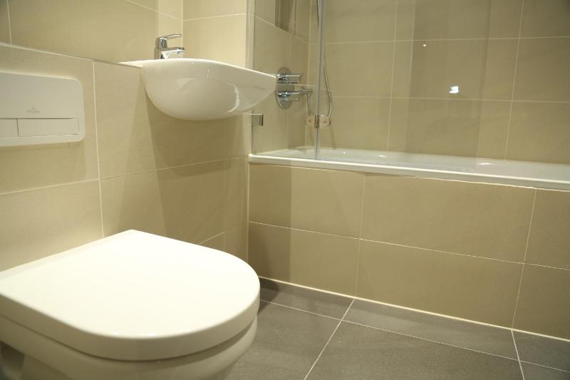 One-Bedroom Apartment image 2