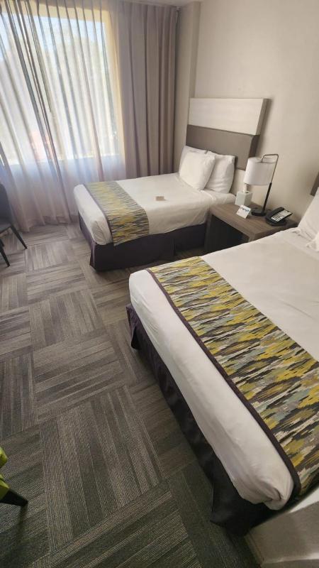 Standard Double Room image 4