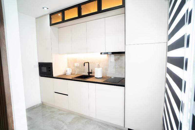 One-Bedroom Apartment image 3