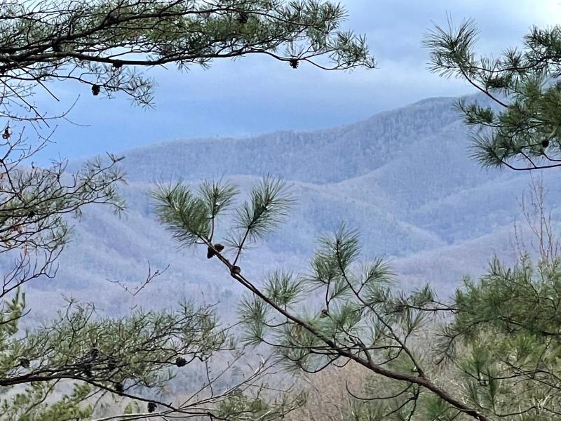 Mountain Love Nest - image 12