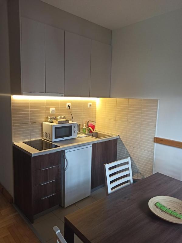 One-Bedroom Apartment (4 Adults) image 4