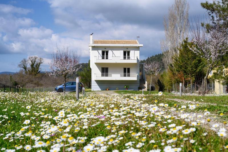 Aliki`s Luxury Suite with view, pet friendly! Images
