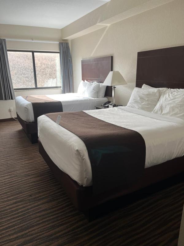 Standard Queen Room image 1